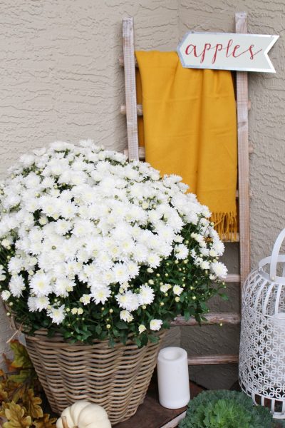 Fall front porch with mums and a blanket ladder.