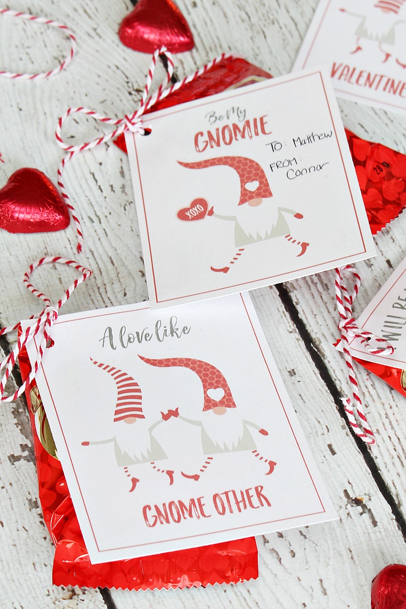 Valentine's Day gnome tags for Valentine's Day treats.
