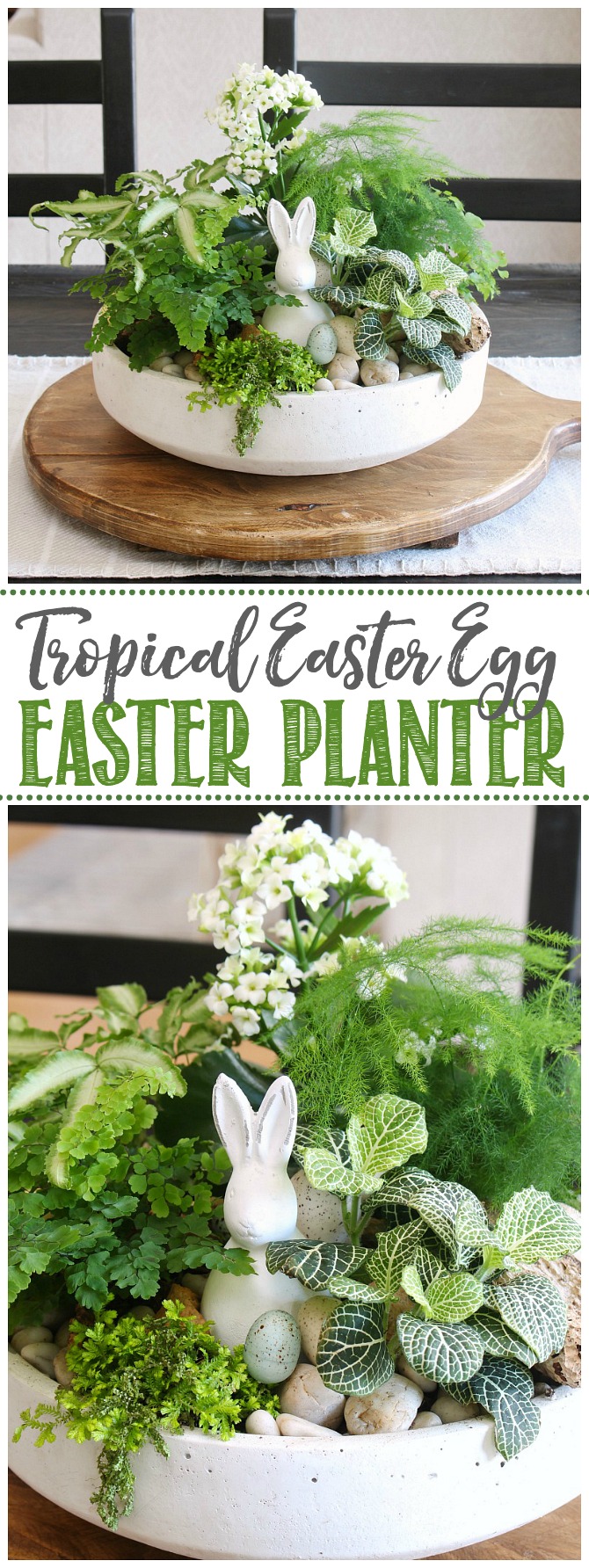 Easter planter with tropical plants and Easter bunny.