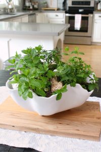 Herb planter centerpiece in a white bowl for an easy summer centerpiece.