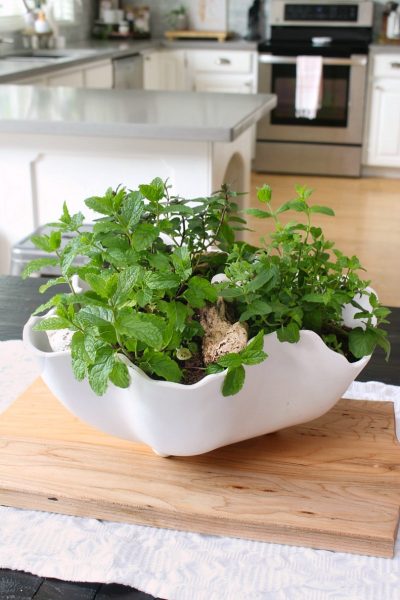 Herb planter centerpiece in a white bowl for an easy summer centerpiece.