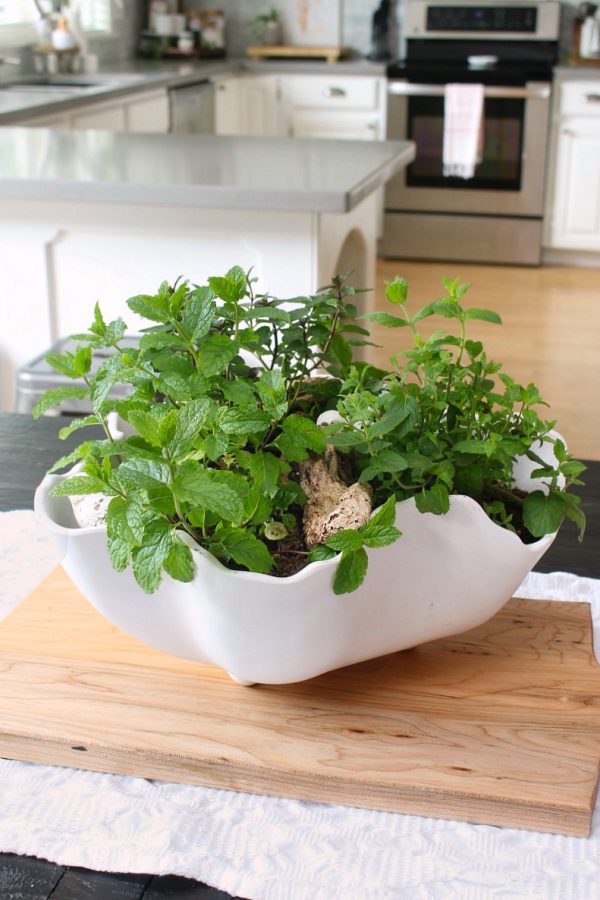 Herb Planter Centerpiece Clean and Scentsible