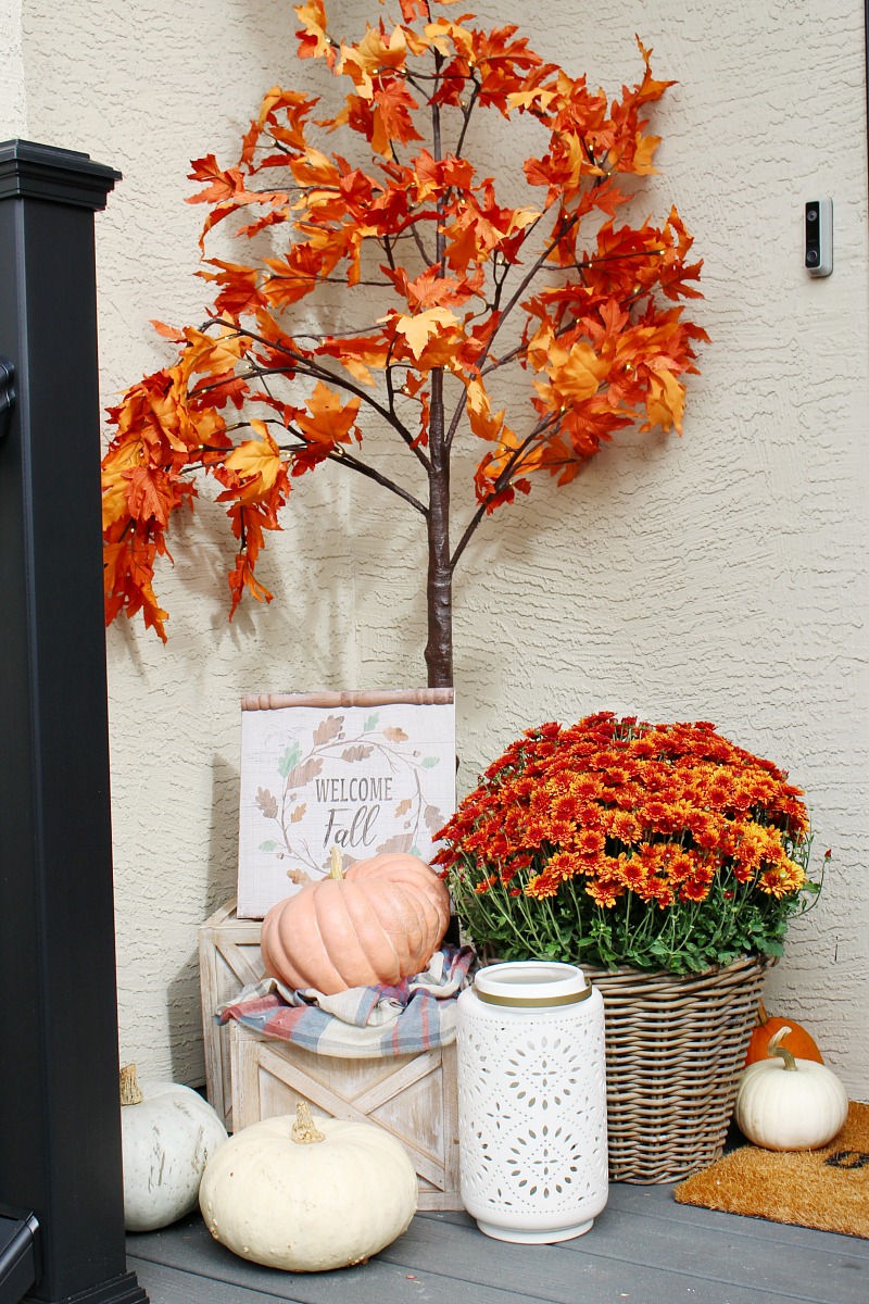 Colorful fall front porch with faux lighted maple trees.