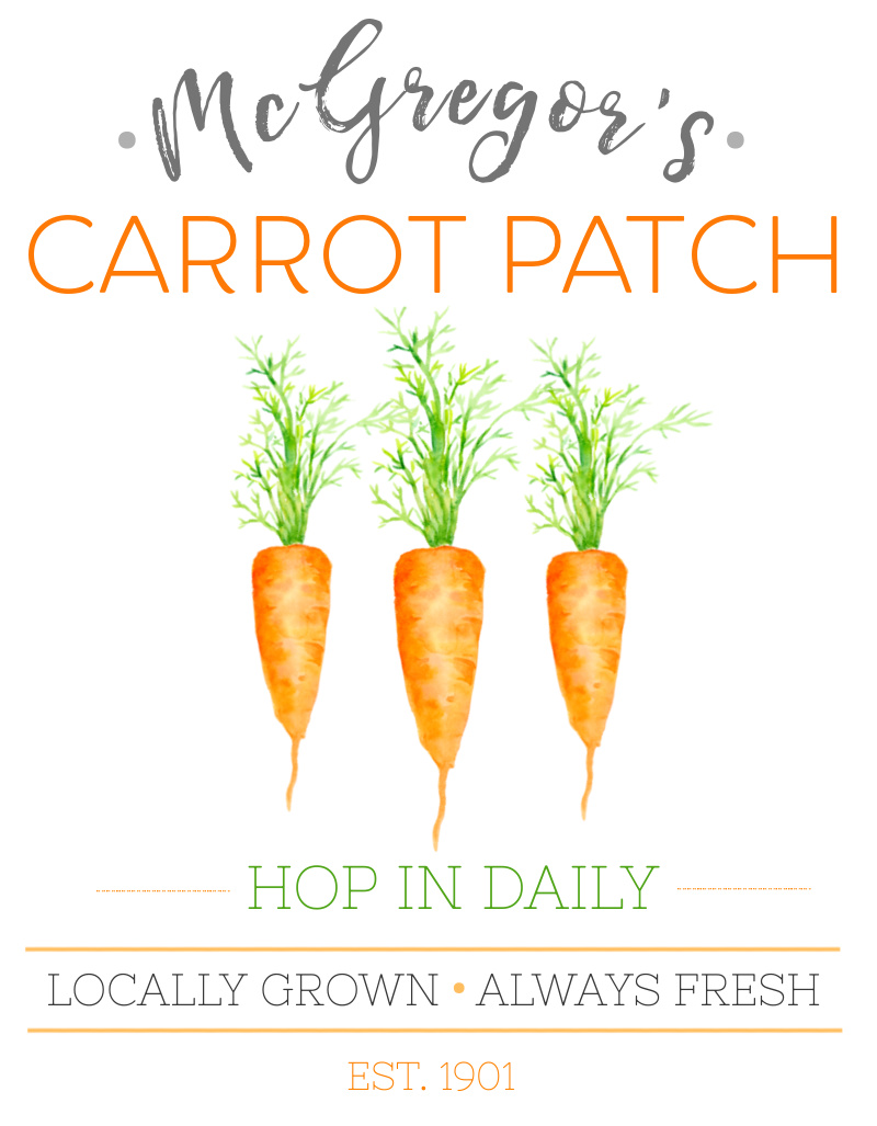McGregor's Carrot Patch printable with watercolor carrots.