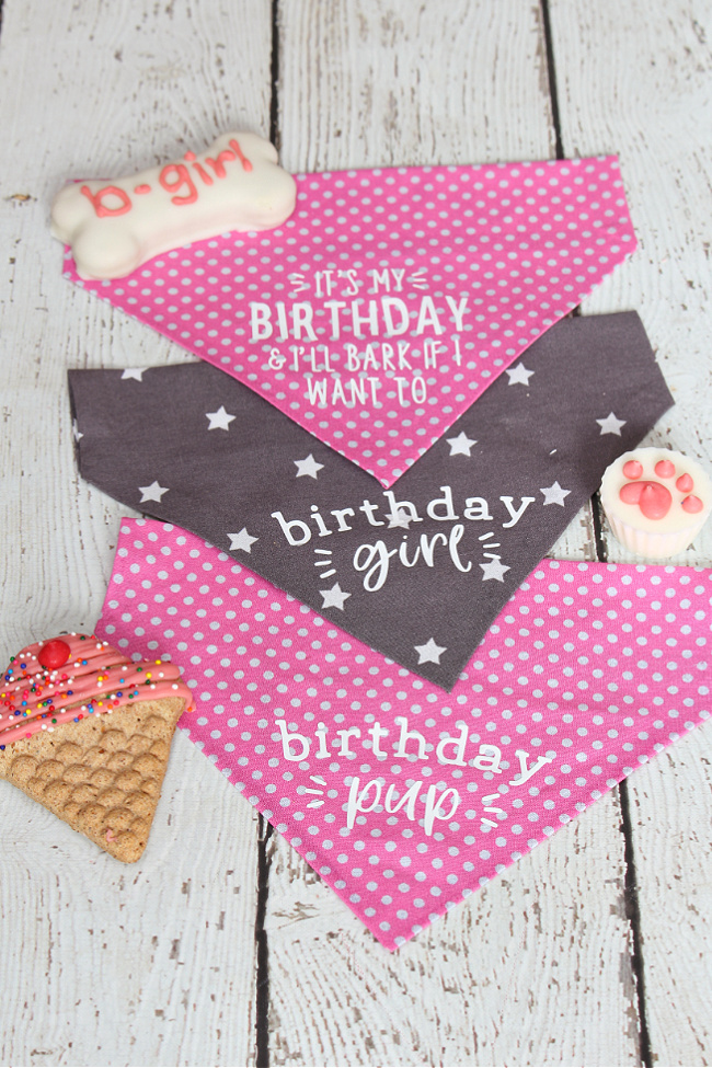 Pink and grey DIY pet bandanas with birthday greetings.