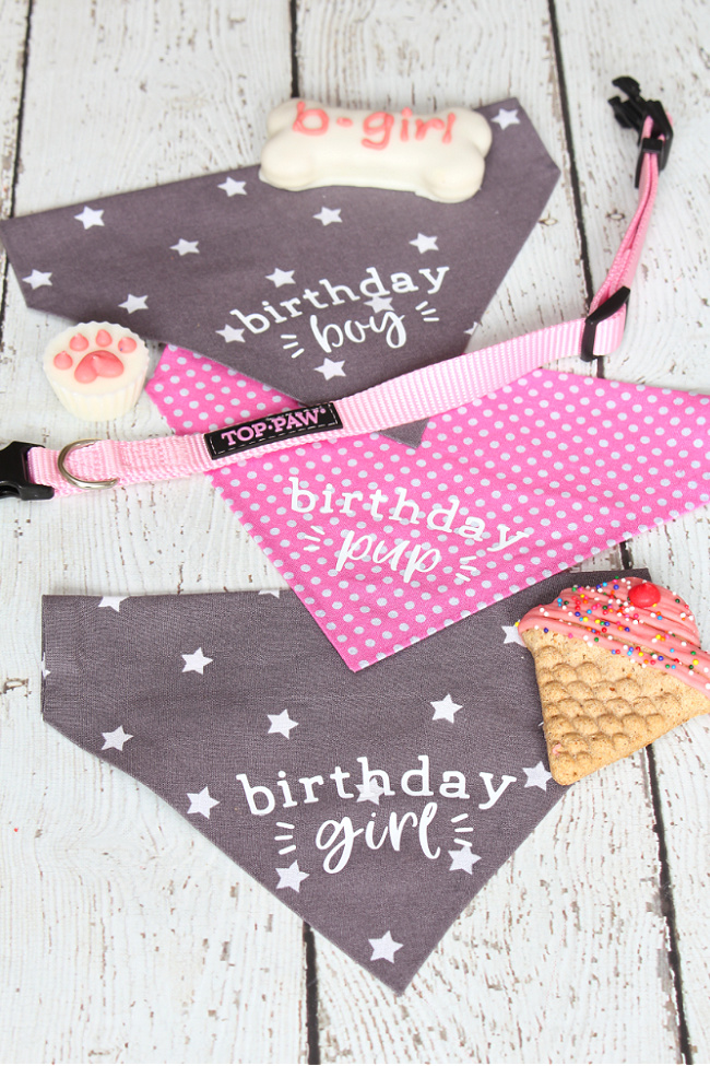 Pink and grey DIY pet bandanas with birthday greetings.