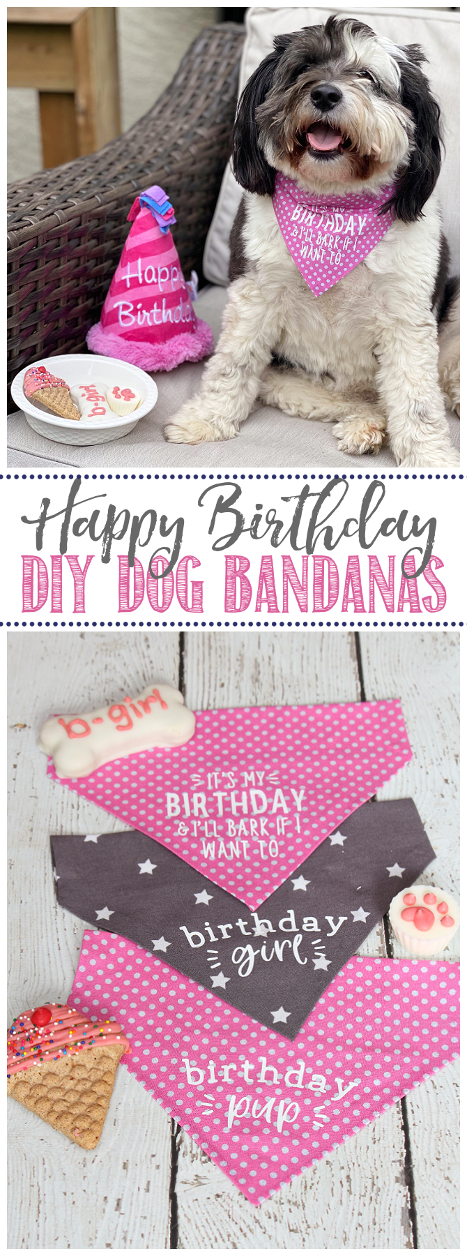 Birthday dog bandanas in three designs.