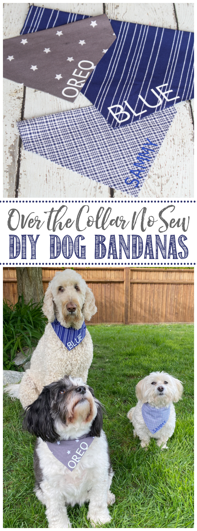 Over the collar no sew DIY dog bandanas on three cute dogs.