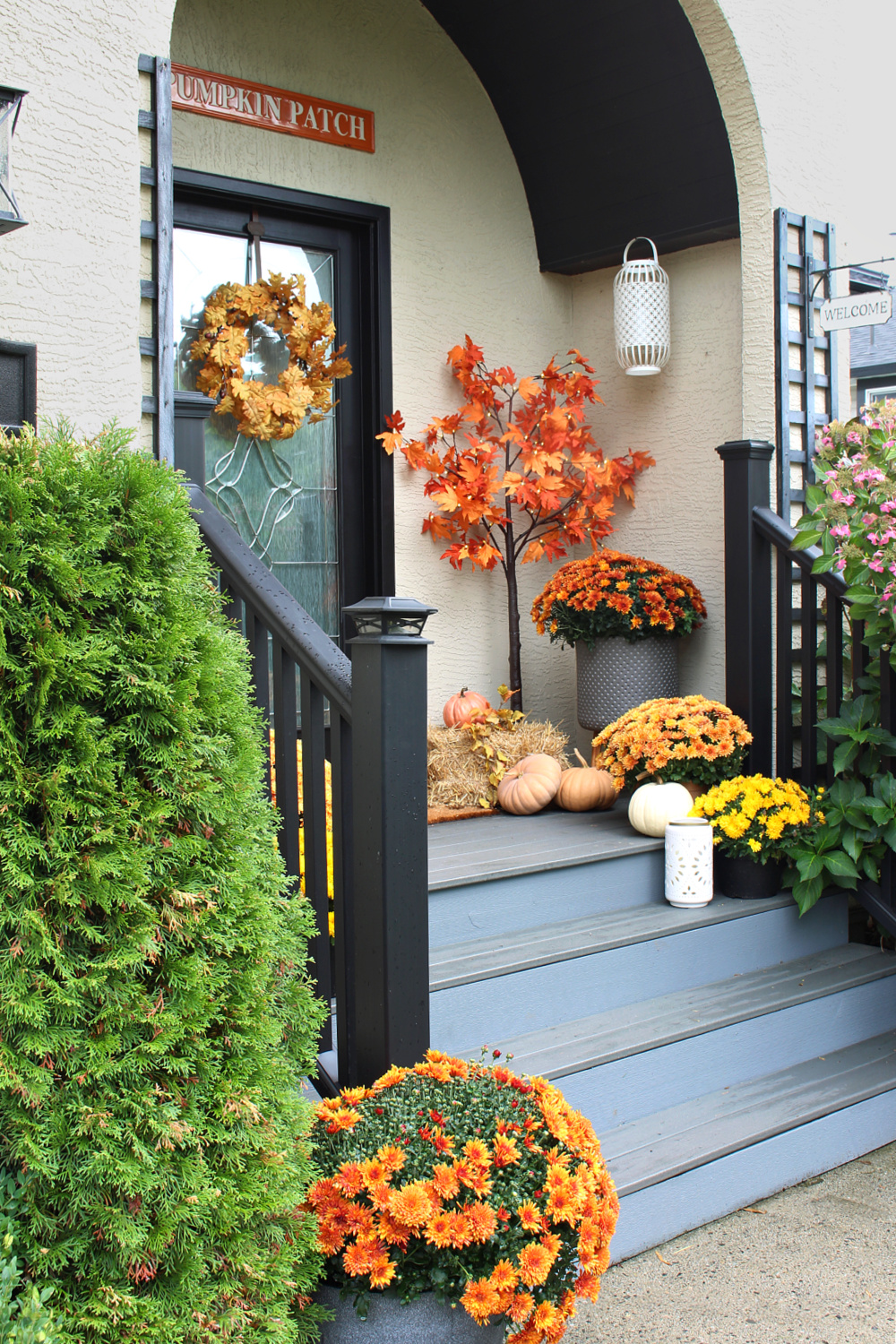 Fall front porch with mums, pumpkins and lighted trees.