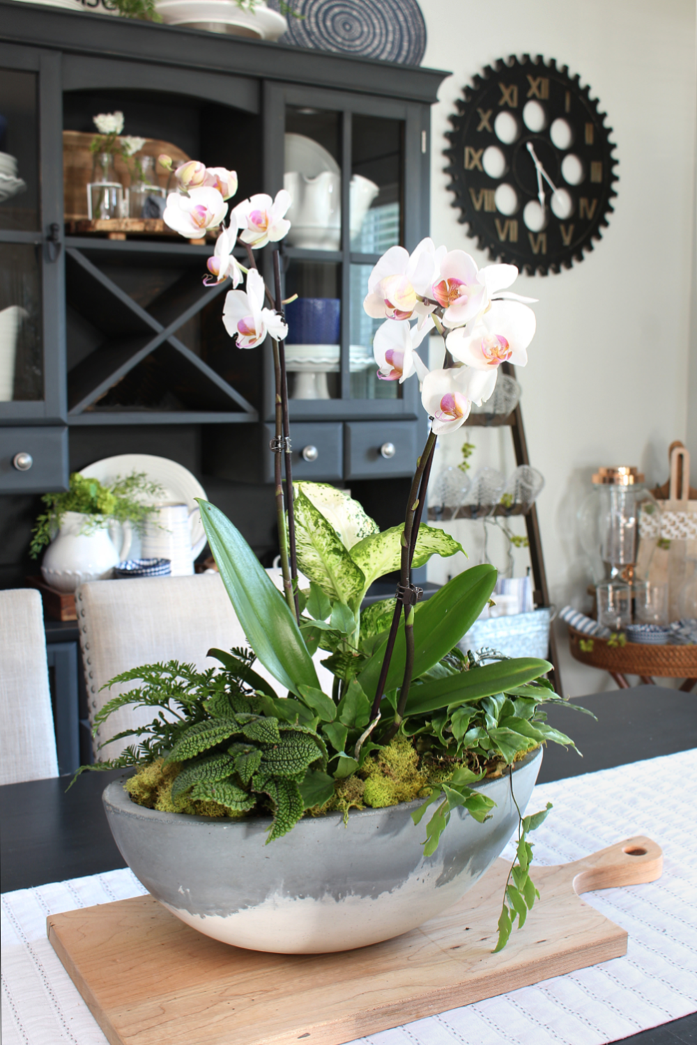 DIY Orchid Planter on a dining room table.