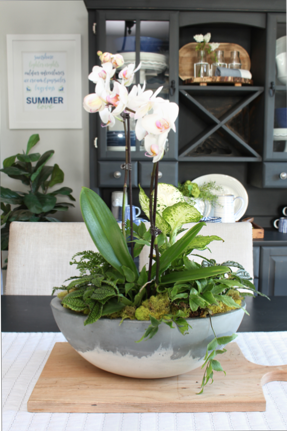 DIY orchid planter with tropical plants.