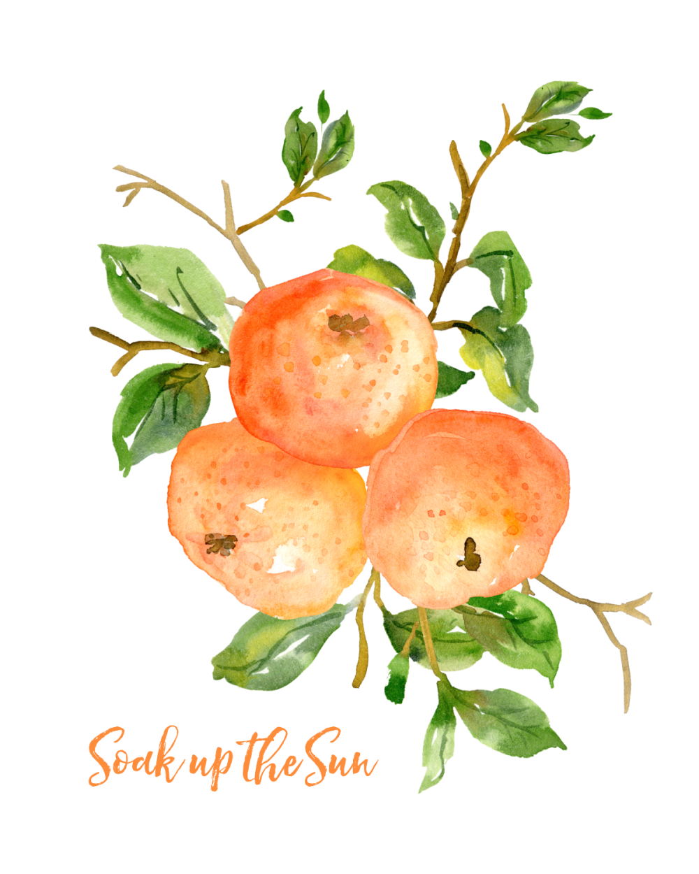 Soak up the Sun free printable tangerine art.
