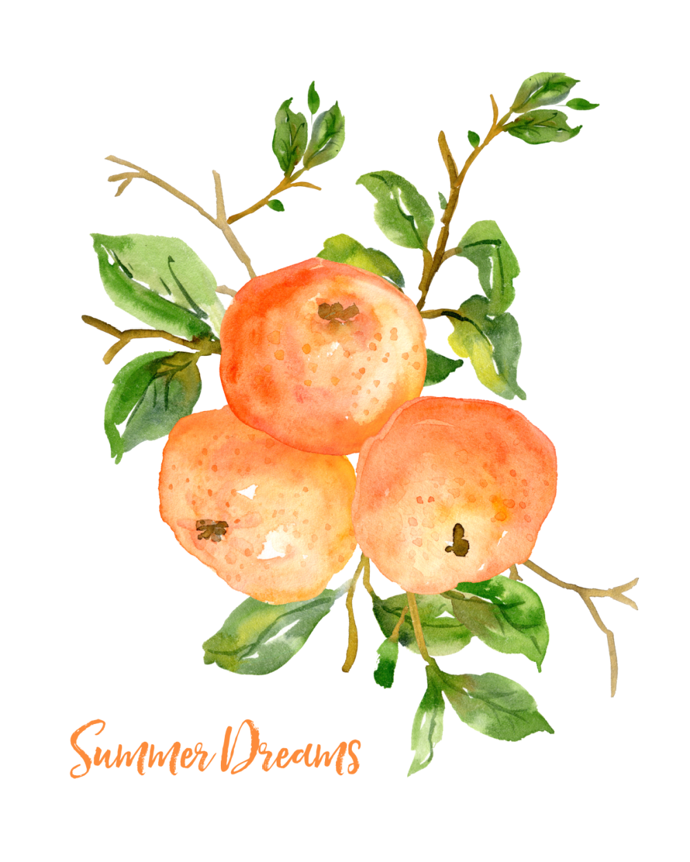 Summer Dreams free printable tangerine art.
