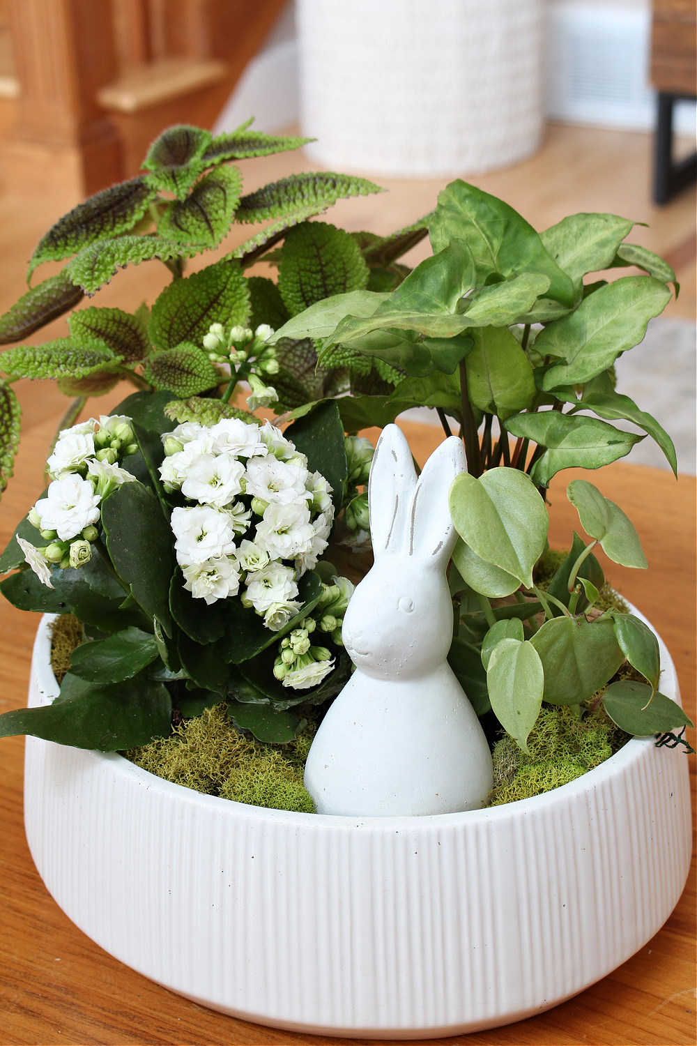Cute spring tropical planter in a white ceramic bowl.