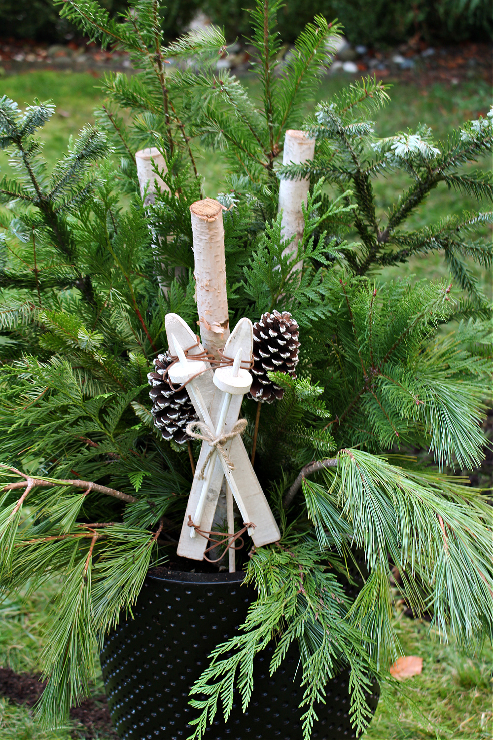 Outdoor Christmas planter with fresh greenery, wood skis, and pine cones.